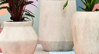 PP Mineral homepagebanner klein