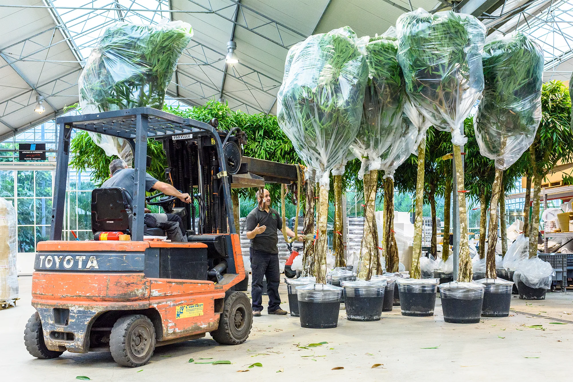 Packing-plants