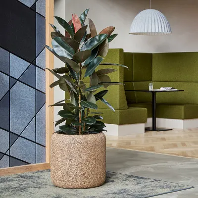 Baq-Naturescast-Cylinder-Natural-19534