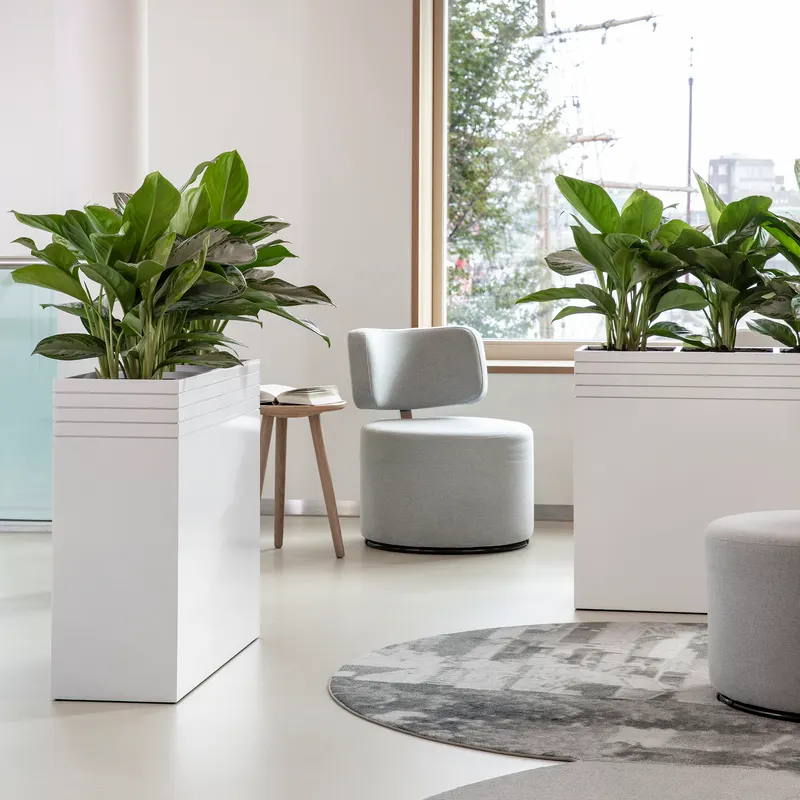 natuurlijke divider Baq Line-Up