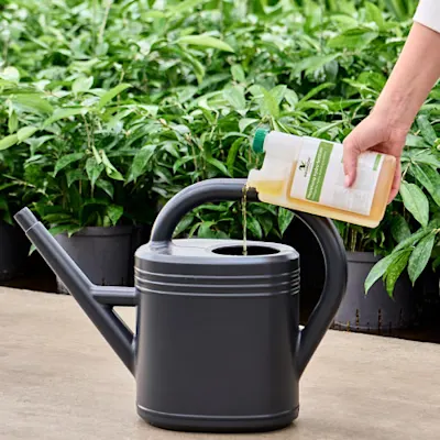 hydro fertilizer vloeibare voeding