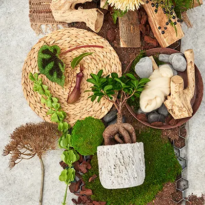 Ode to Nature flatlay