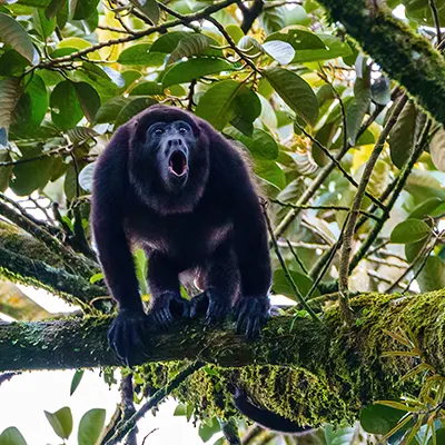 update work with nature natuur