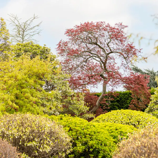 Garden and Terrace Tuin en Terras