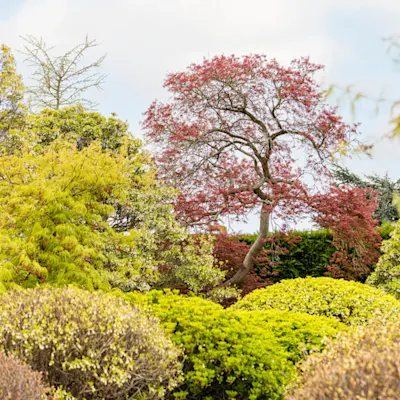 Garden and Terrace Tuin en Terras