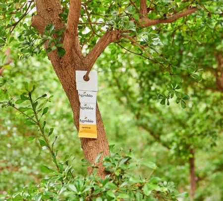 CSR pillars integrated pest management geïntegreerde bestrijding