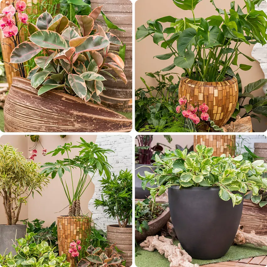 Website 4 luik vierkant