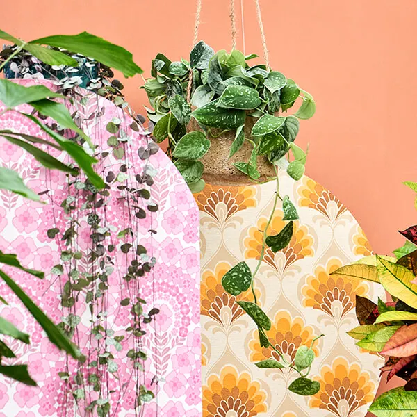 Vintage Folklore detail