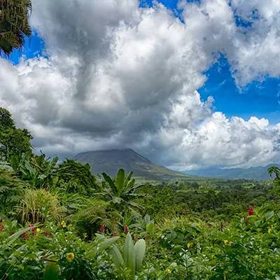 Adopteer Regenwoud - work with nature