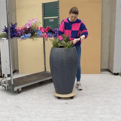 Artificial IPM gif
