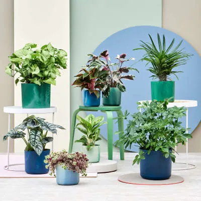 Elho the ocean collection