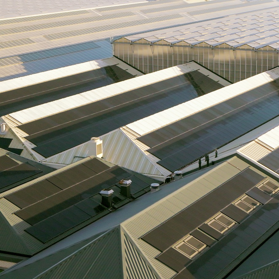 zonnepanelen solar panels