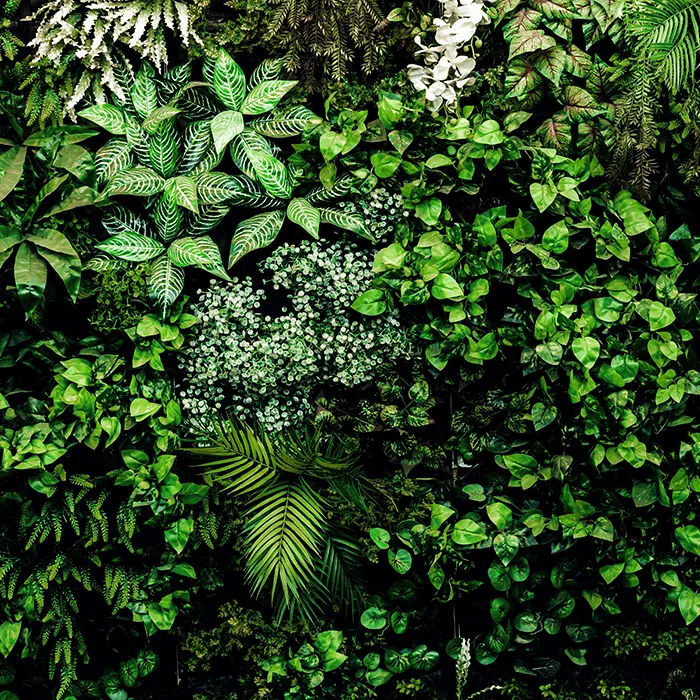 verticaal groen levende wand
