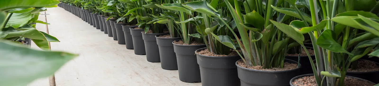 ArticleGroup Data Image soilculture