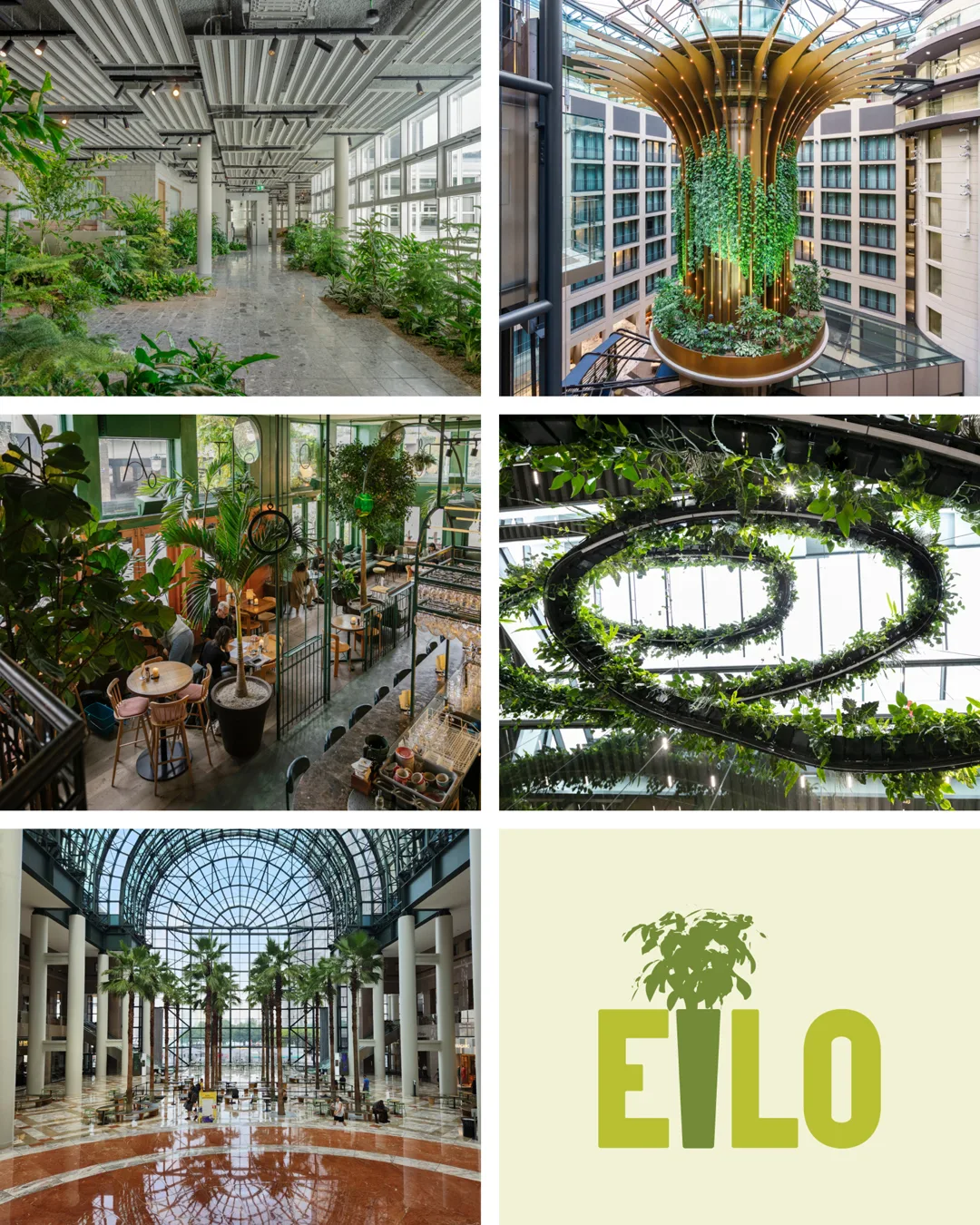 EILO awards 2025 winnaars