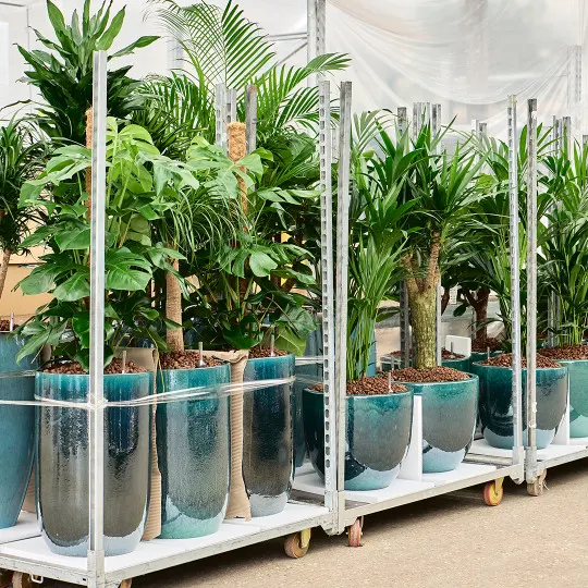 Plant-pot assembly