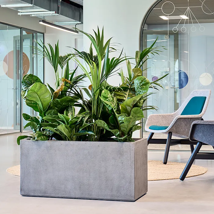 Private label Antwerp rectangle divider