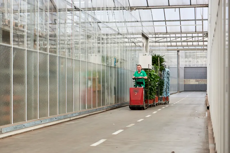 logistiek personeel expeditie