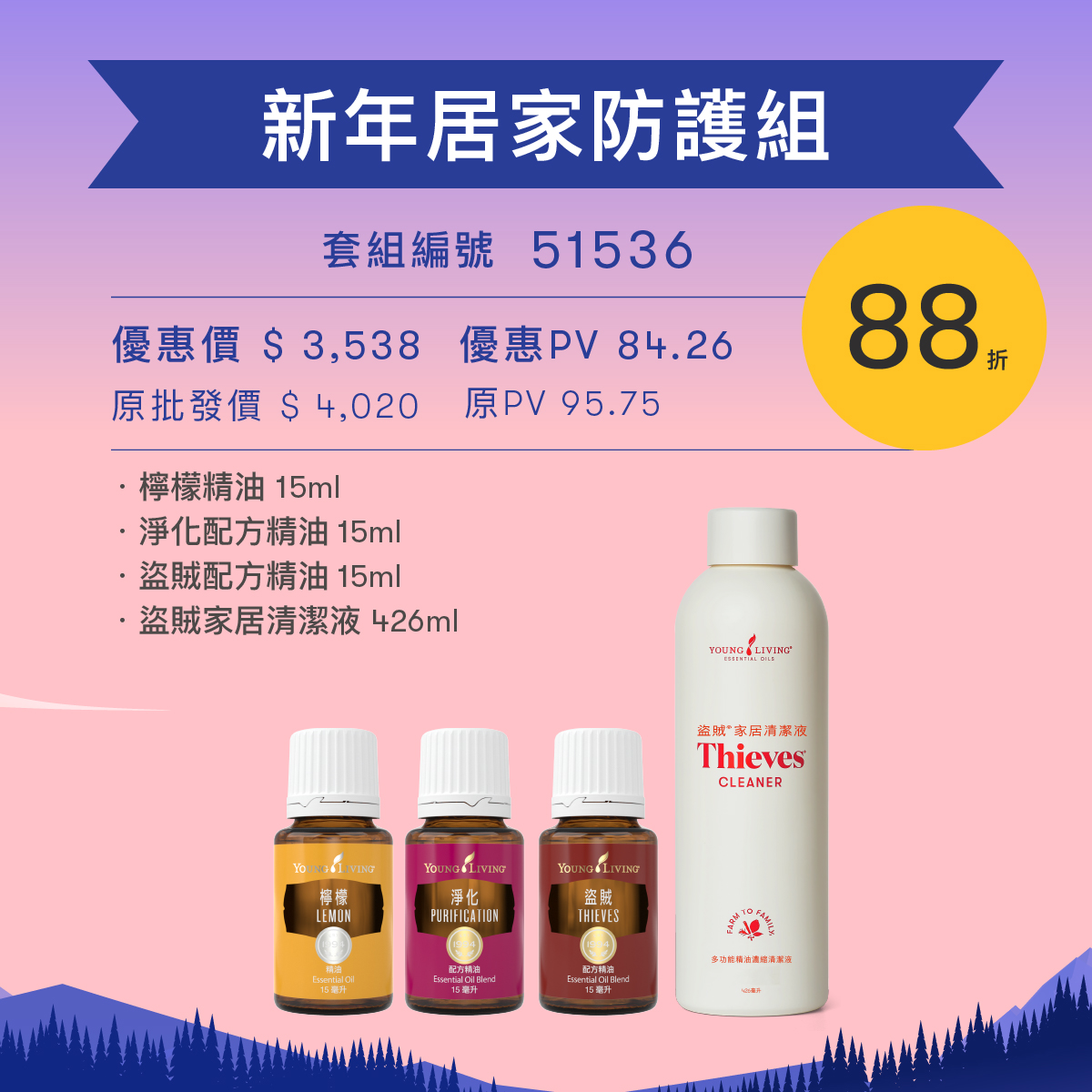 新年居家防護組