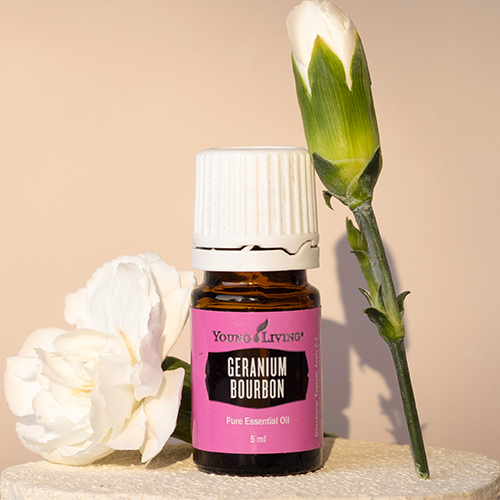 Geranium Bourbon Essential Oil 5 ml