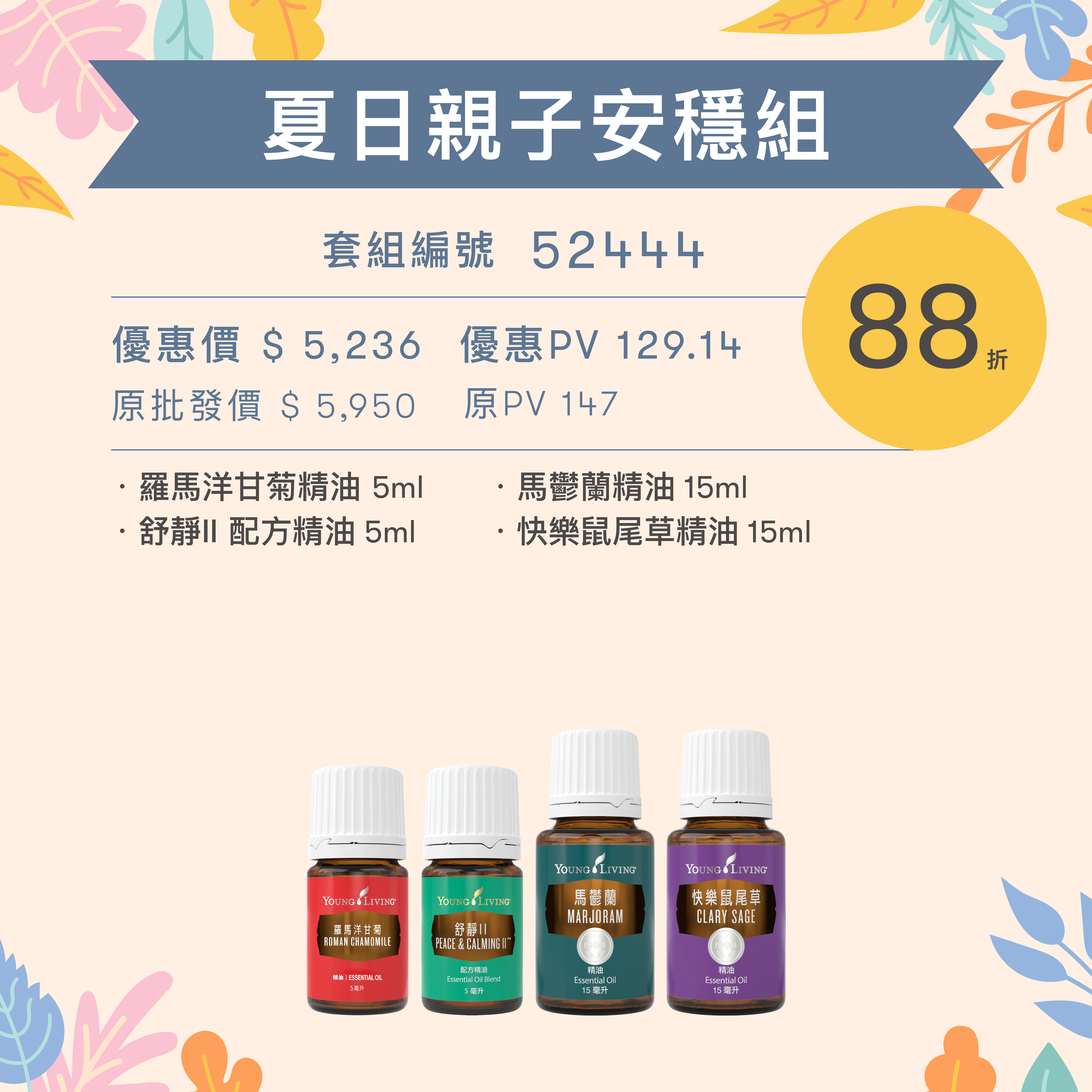 夏日親子安穩組