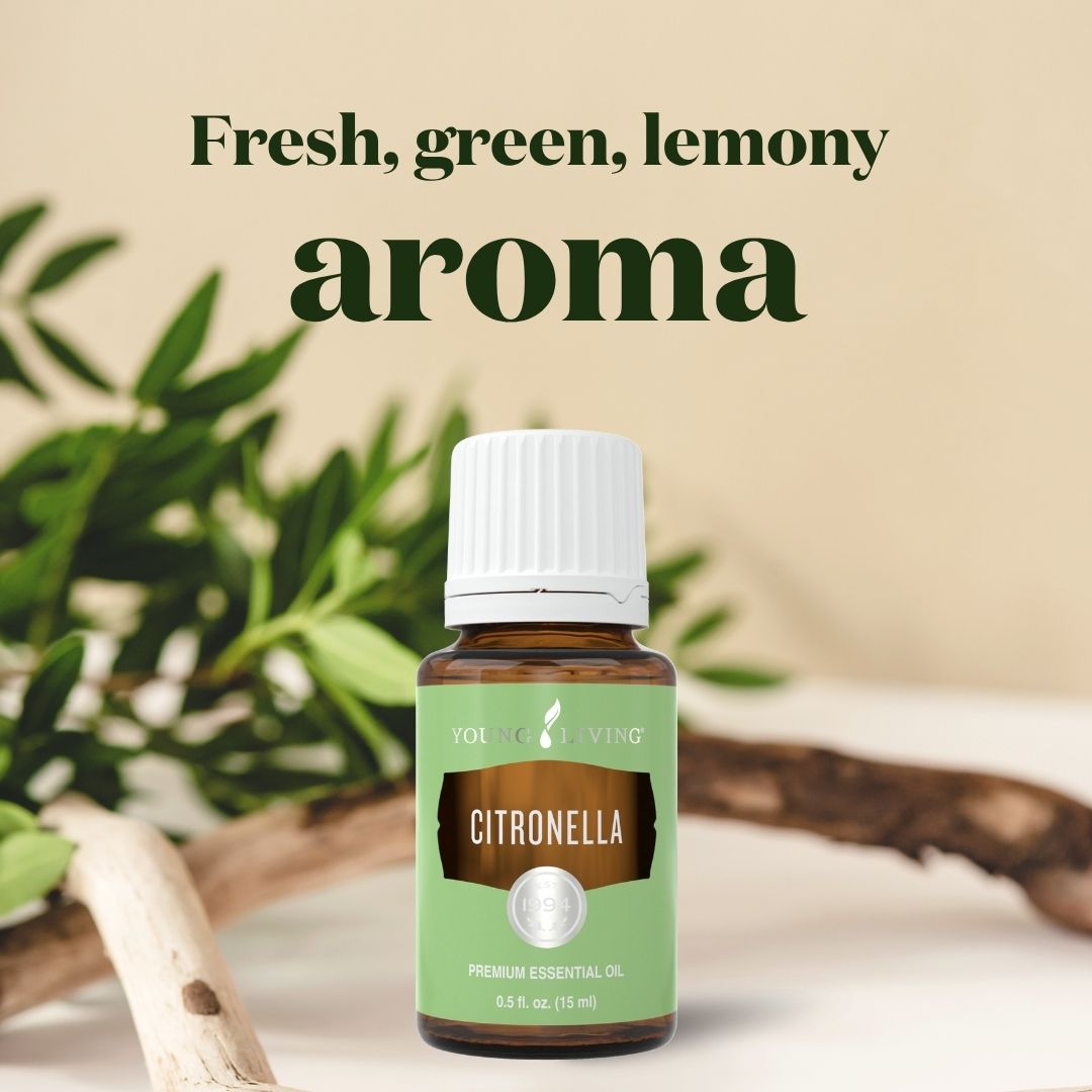 Citronella oil against beige background. Text reads: Fresh, green, lemony aroma