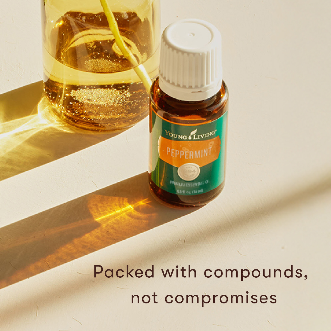 Peppermint Oil | Young Living Essential Oils
