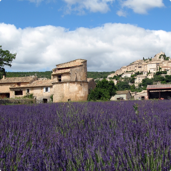 How Are Essential Oils Produced