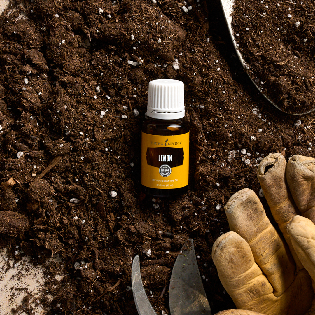 Lemon Essential Oil, part of July 2025 Gift With Purchase from Young Living Essential Oils