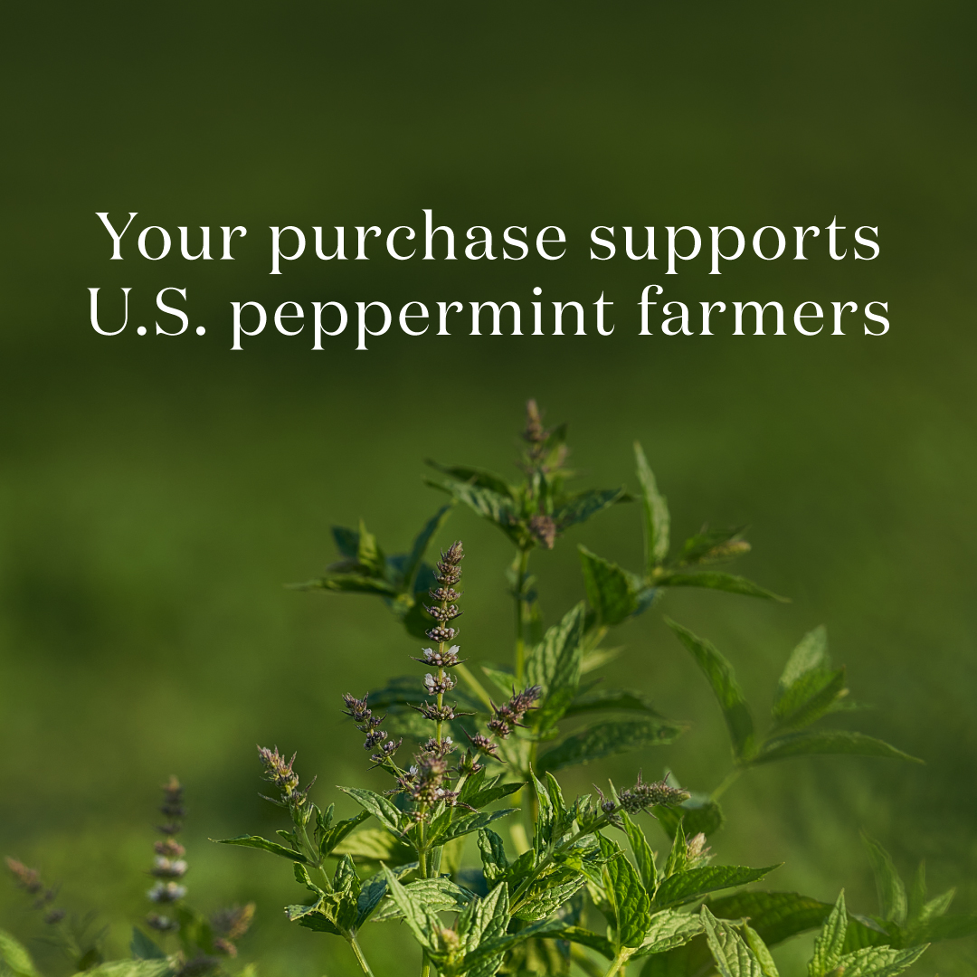 Peppermint Oil | Young Living Essential Oils