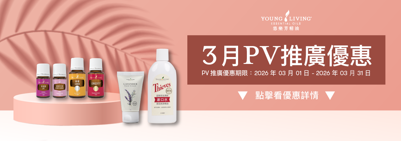 02月PV推廣優惠：2026/02/01–2026/02/28