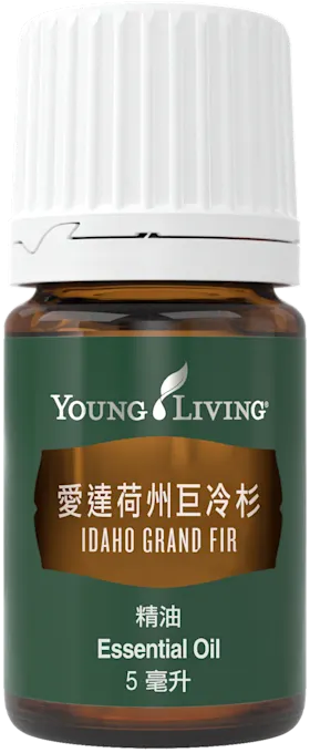 愛達荷州巨冷杉 / 5 ml