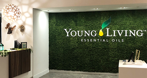 Young 2024 living virtual