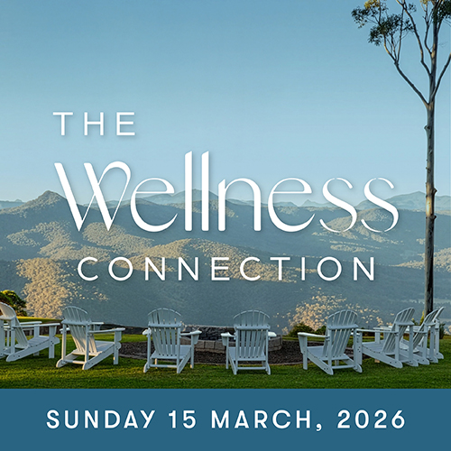  The Wellness Connection