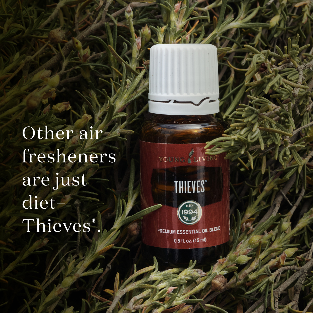 Young Living Young Thieves 15ml 5本セット Young Living Young Thieves 15ml 5本セット Amazon.com: Young
