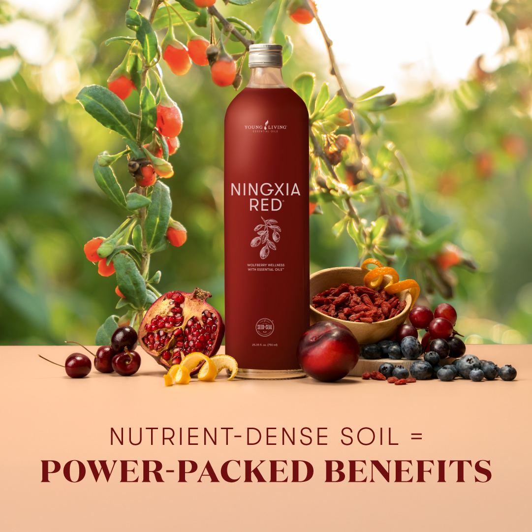 Ningxia Red® Antioxidant Drink | Young Living Essential Oils
