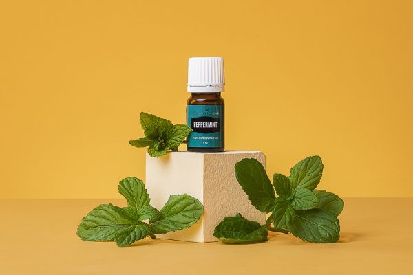 Peppermint Essential Oil