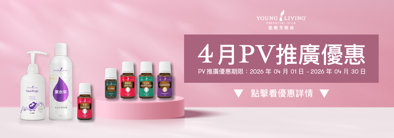 02月PV推廣優惠：2026/02/01–2026/02/28