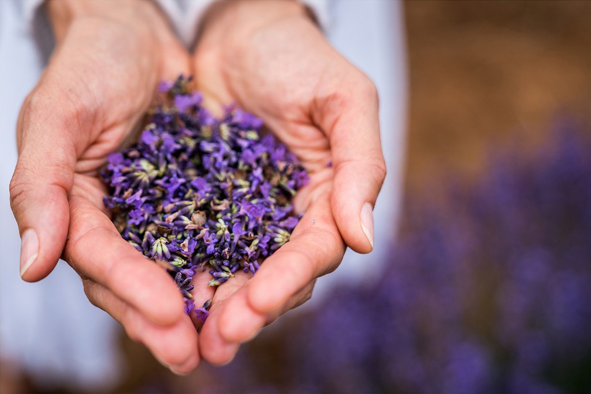 Science in the Field