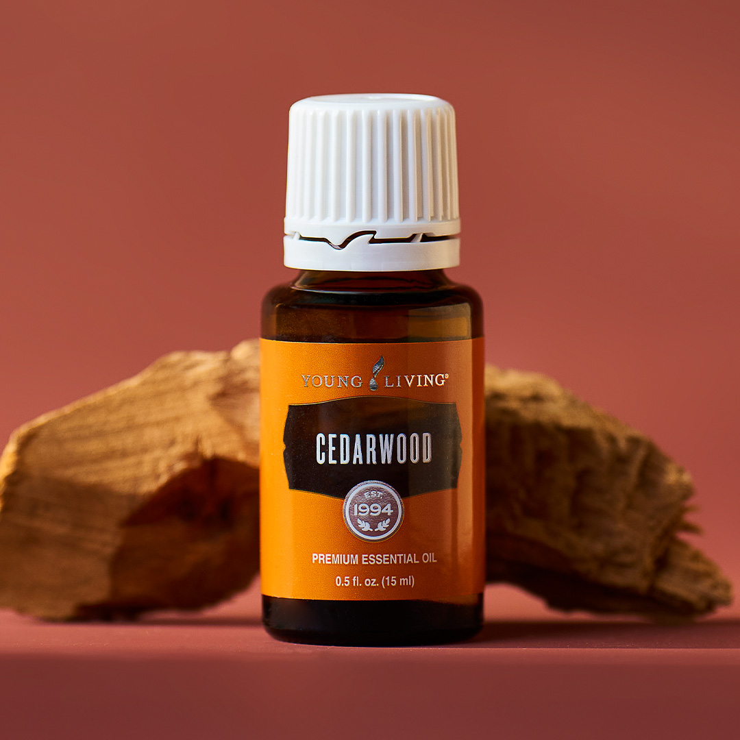 Loyalty order: Cedarwood essential oil, 15 ml, part of the October 2026 Gift With Purchase from Young Living Essential Oils