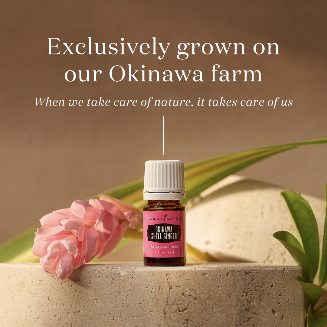 Okinawa Shell Ginger Oil | Young Living