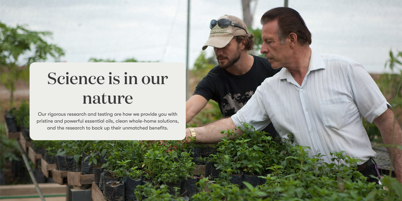 Your image description