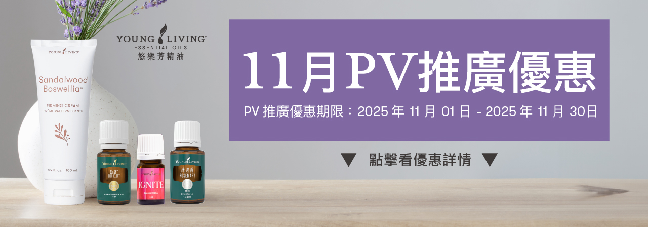 11月PV推廣優惠：2025/11/01–2025/11/30