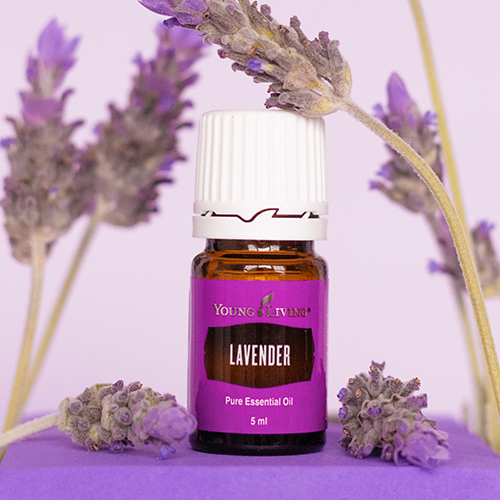 Lavender Essential Oil 5 ml