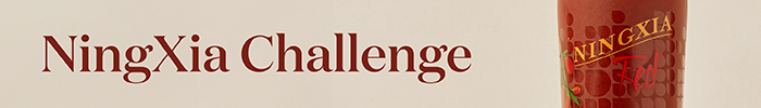 NingXia Challenge