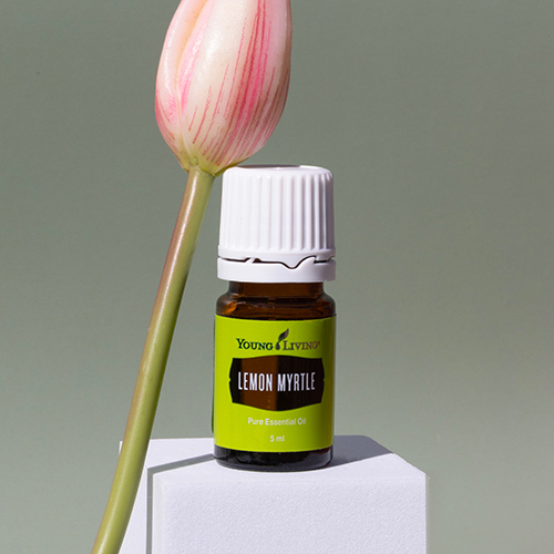Lemon Myrtle Essential Oil 5 ml