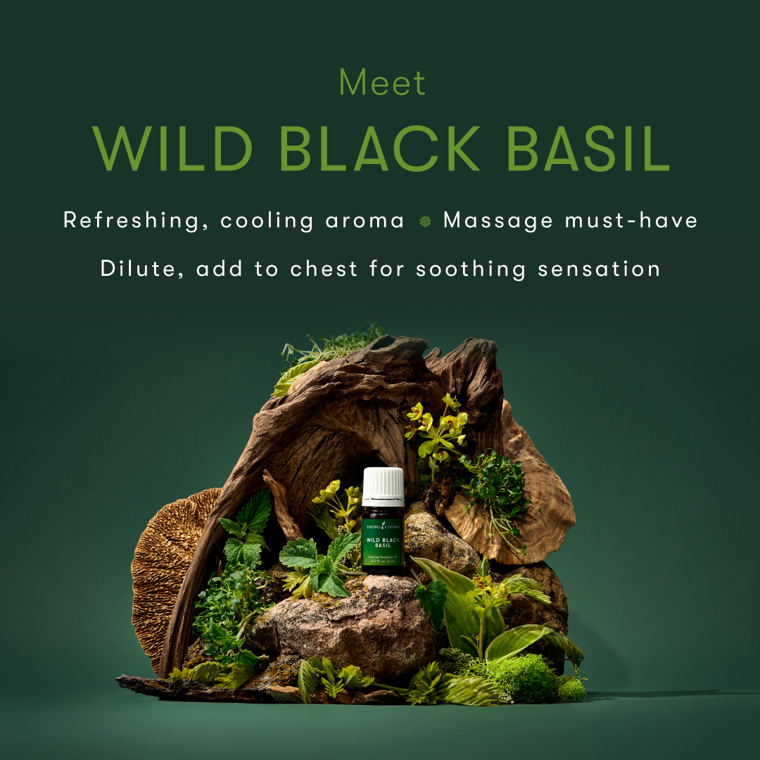 Expedition Collection | Young Living