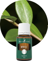 ピューリフィケーション 15ml | ヤングリビング精油 | Young Living 