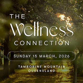  The Wellness Connection