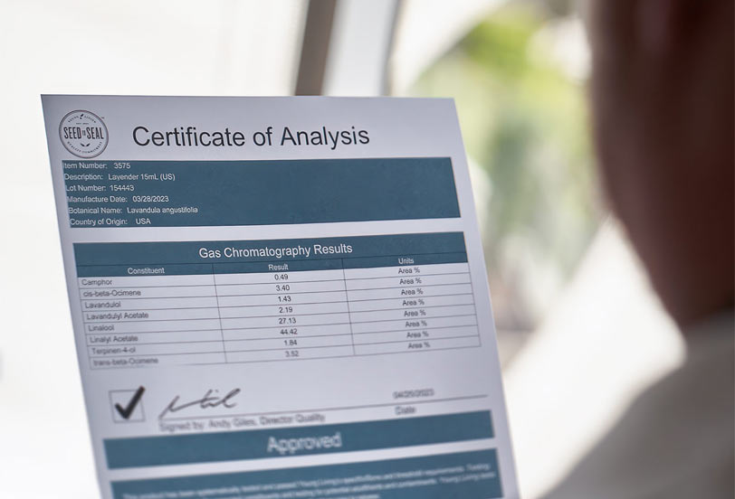 Over the shoulder view of the lab results